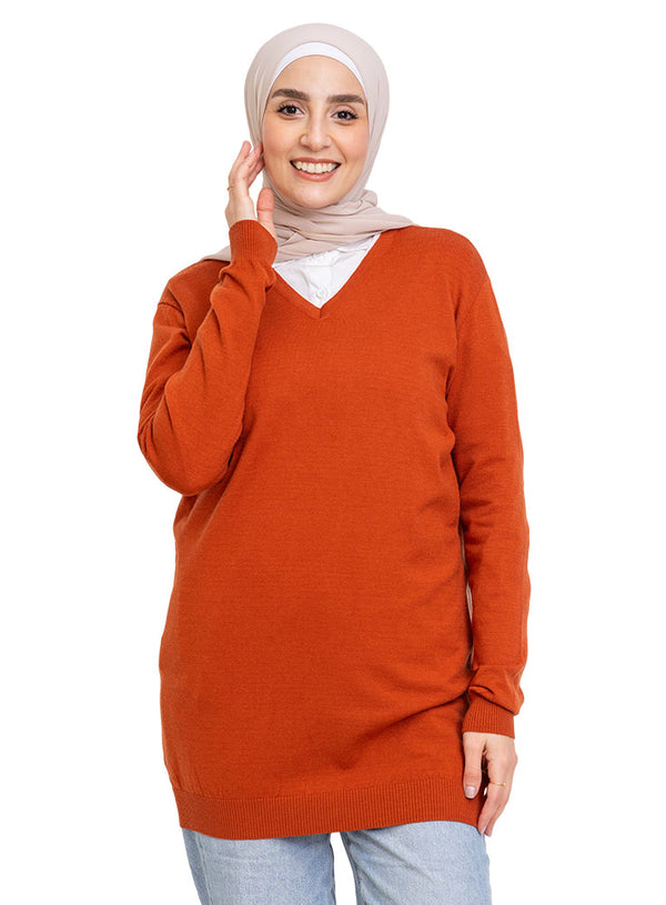 Autumnal V-Neck Knit Pullover