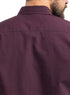 Violet Oxford Half Shirt