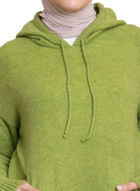 Apple Hoodie Pullover - Khotwh