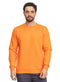Carrot SW - Basic Round - Khotwh