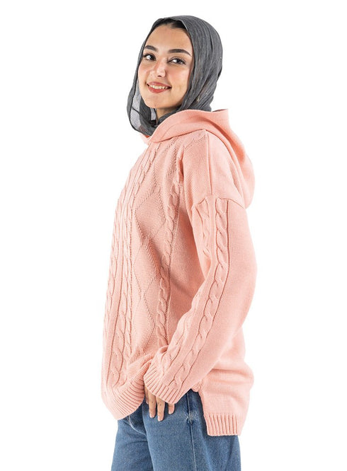 Pink plexus Hoodie Pullover - Khotwh
