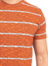 Tiger Striped Round T-shirt - Khotwh