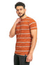 Tiger Striped Round T-shirt - Khotwh